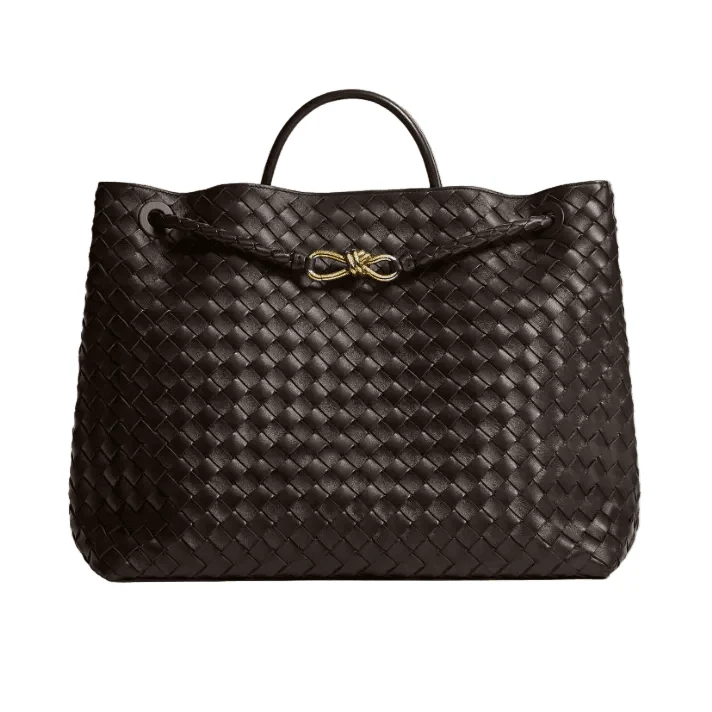 Bottega Veneta Medium Andiamo Bag