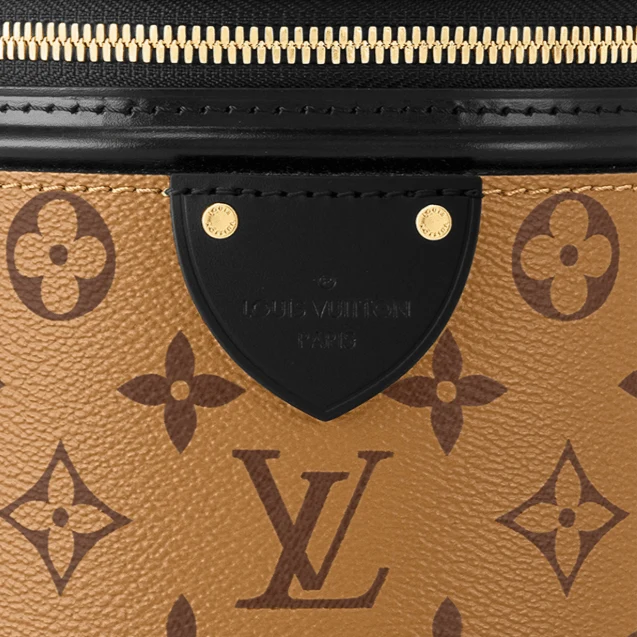 LV Cannes Monogram Reverse - Image 5