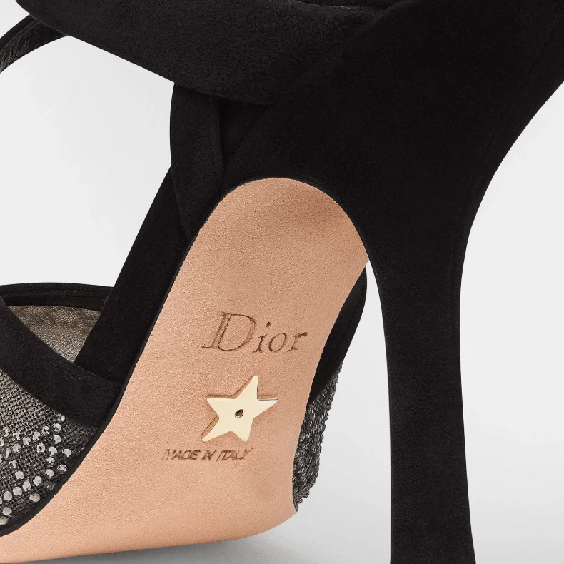 Dior Capture Pump Black Transparent Mesh with Silver-Tone Strass Cannage Motif - Image 2
