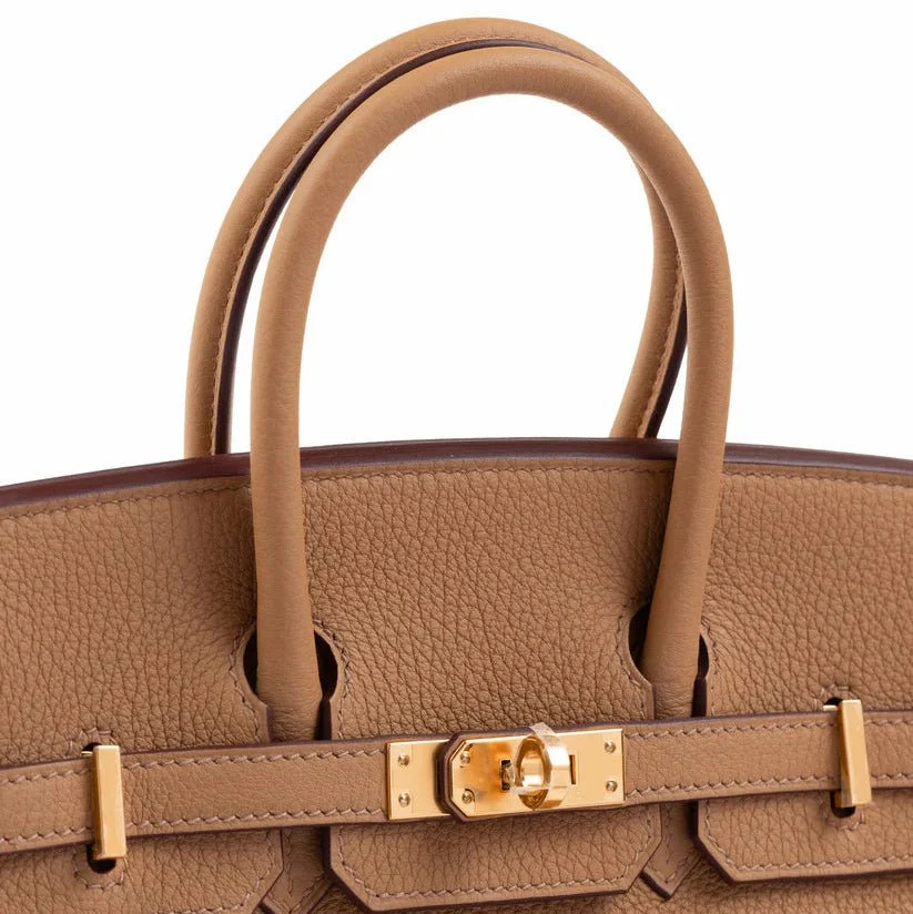 Hermès Birkin 25 Biscuit in Togo Leather With Gold Hardware - Image 5
