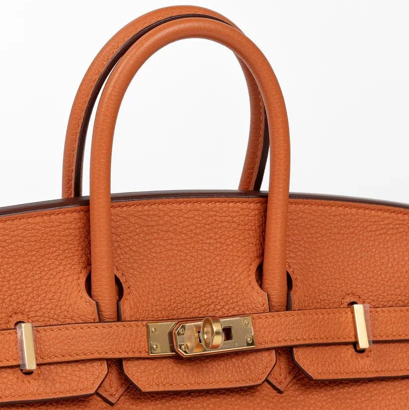 Hermes Birkin 25 Orange in Togo Leather with Gold Hardware - Image 5
