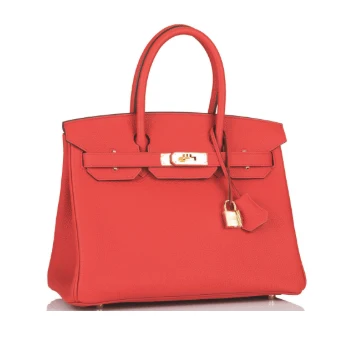 Hermes Birkin 25 Red in Togo Leather With Gold Hardware - Image 2