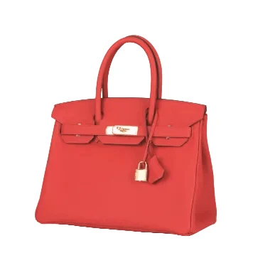 Hermes Birkin 25 Red in Togo Leather With Gold Hardware - Image 4