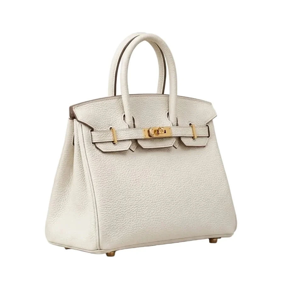 Hermes Birkin 25 Craie in Togo Leather with Gold Hardware - Image 3