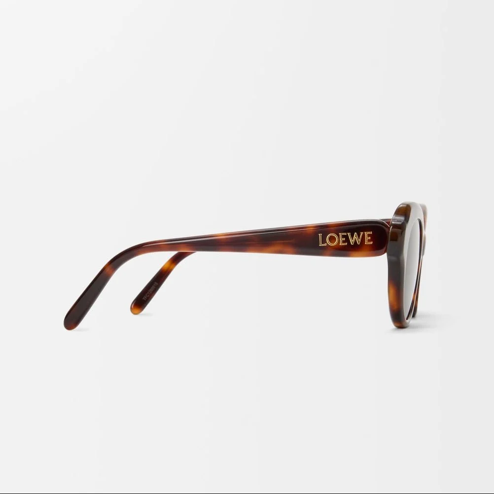 Loewe Swan Slim Sunglasses Havana - Image 3