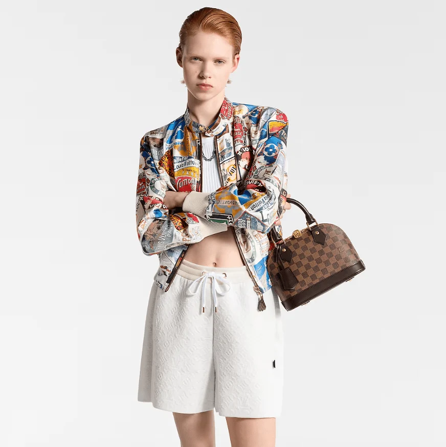 Louis Vuitton Alma BB Damier - Image 4