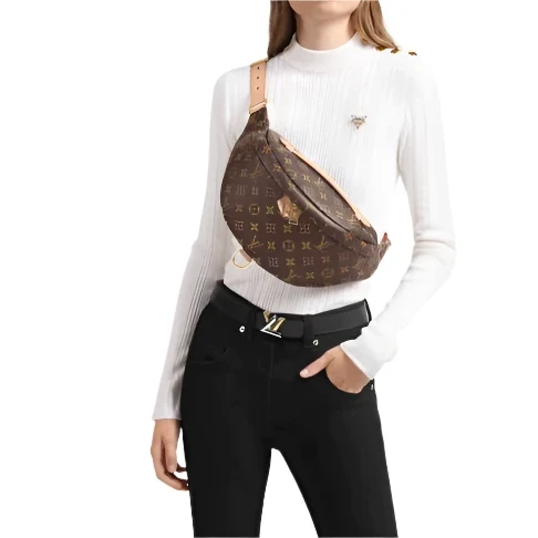 LV Canvas Belt Bag - Image 2