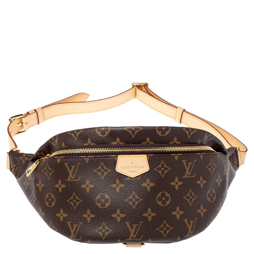 LV Canvas Belt Bag - Image 3