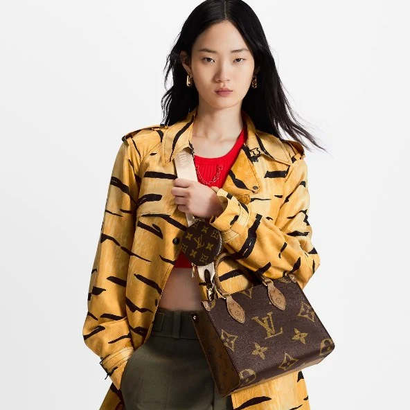 Louis Vuitton Onthego Pm Bag - Image 4
