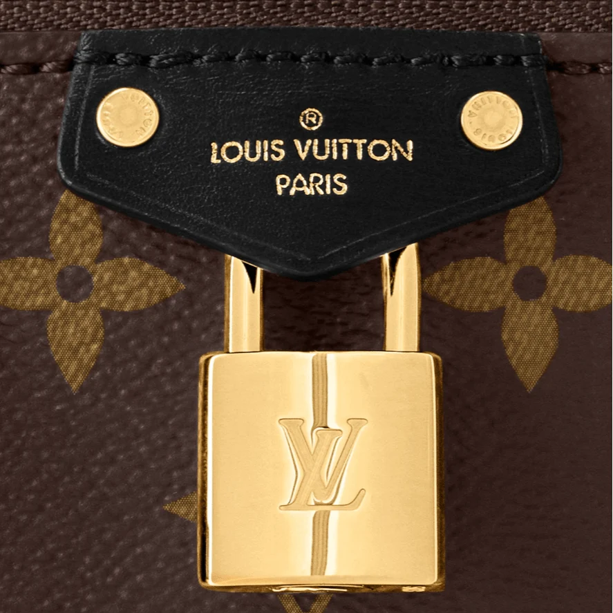 LV Vanity Chain Pouch - Image 4