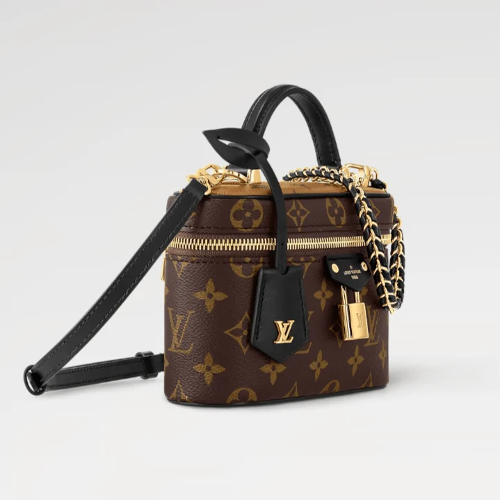 LV Vanity Chain Pouch - Image 7