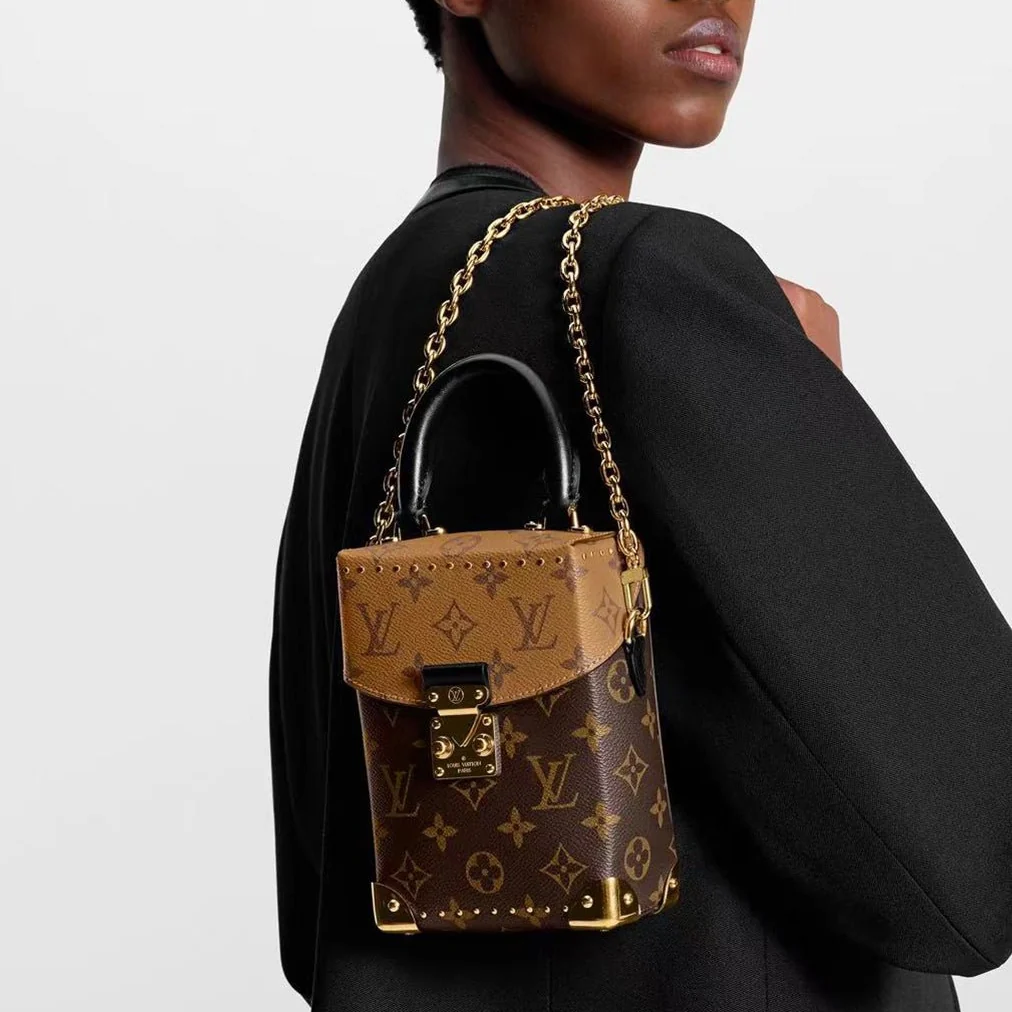 Louis Vuitton Camera Box Monogram Reverse - Image 4