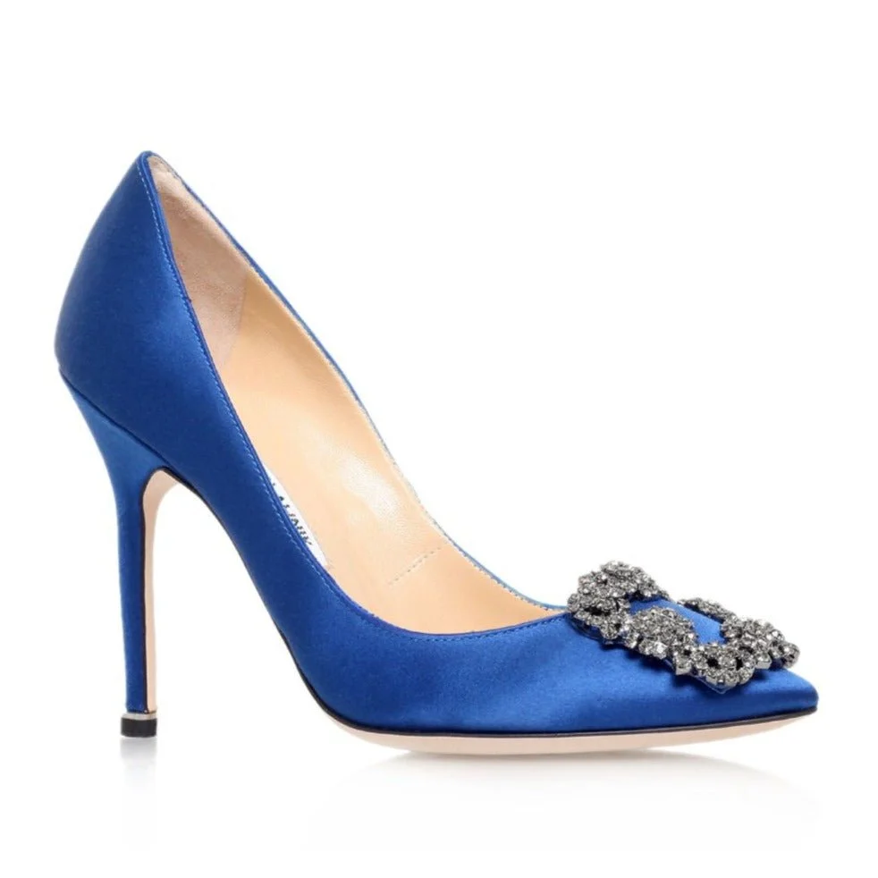 Manolo Blahnik Hangisi Pumps - Image 8