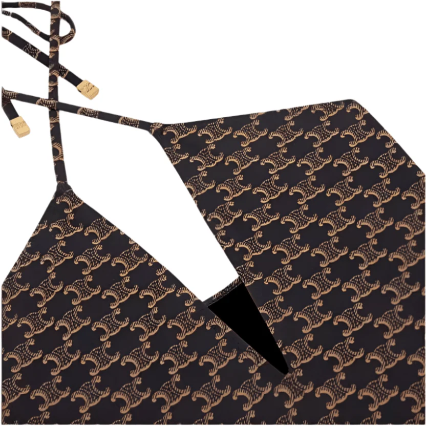 Celine Triomphe Monogram One-Piece Swimsuit - Image 4