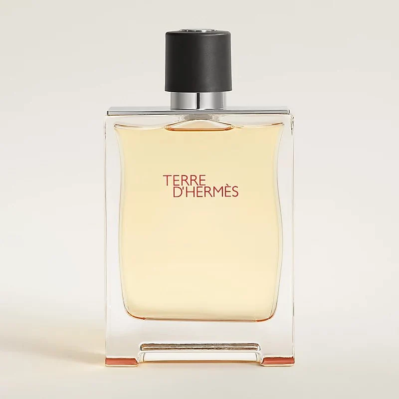 Terry's Hermès Eau de Parfum for Men, 100ml - Image 2